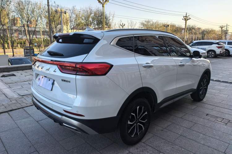 Used Haval H6 2023 National Trend Edition 1.5T Automatic Urban Version
