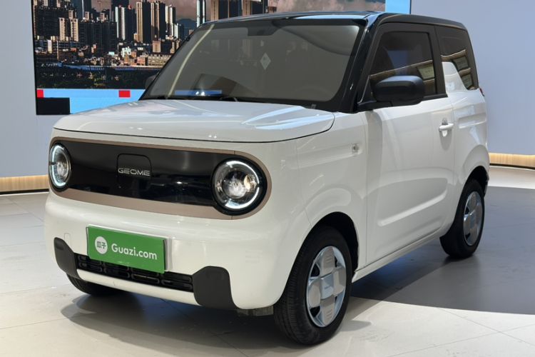 Used  Panda 2024 Panda Mini 200km Endurance Bear
