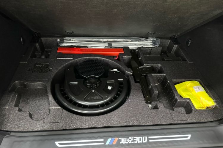 Used Tank 300 2023 2.0T Iron Rider 02