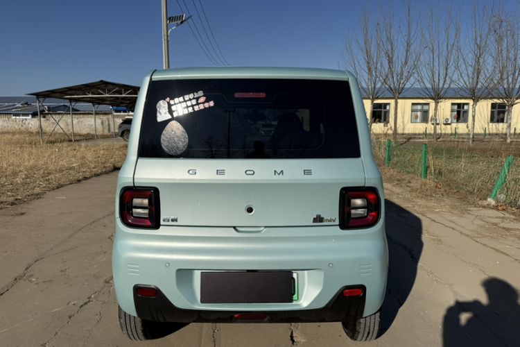 Used  Panda 2024 Panda Mini 200km Endurance Bear
