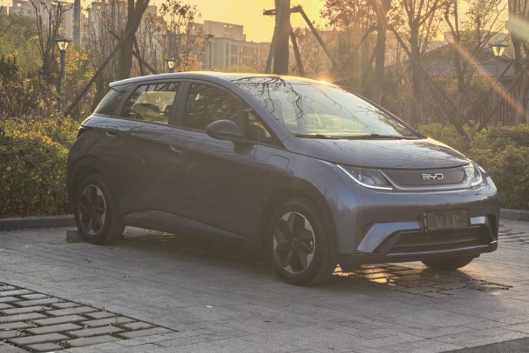 Used BYD Dolphin 2025 420km Free Edition
