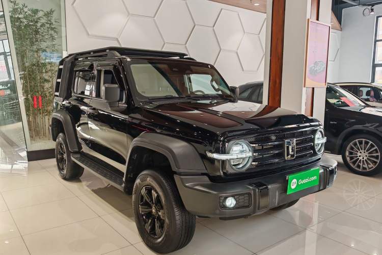 Used Tank 300 2024 2.0T Conqueror