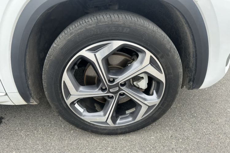 Used Geely Auto Monjaro L 2021 2.0TD DCT EVO Two-Wheel Drive Prestige Version
