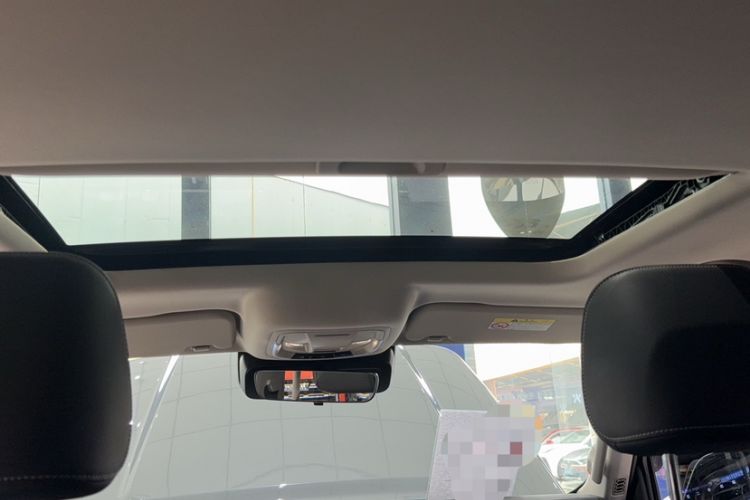 Used Tank 300 2024 2.0T Conqueror
