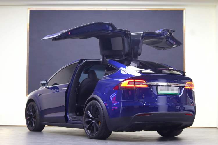 Used Tesla Model X 2020 Long-Range Upgrade Version
