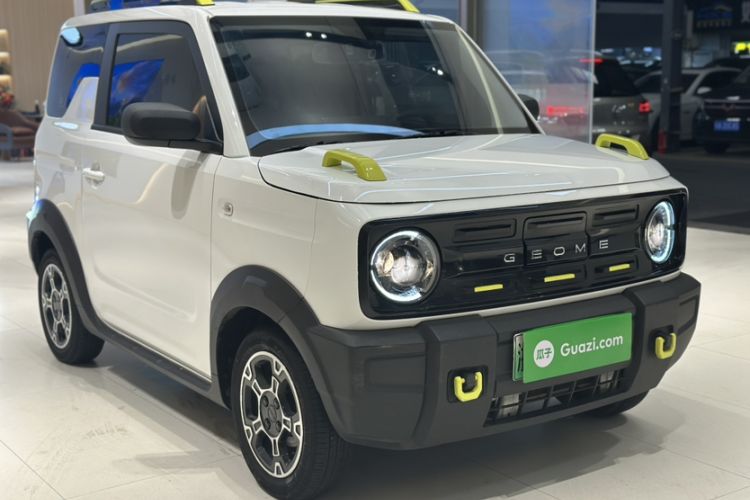 Used  Panda 2024 200km Panda Rider