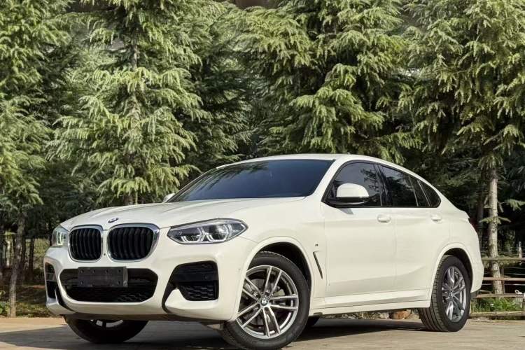 Used BMW X4 2020 xDrive25i M Sport Package
