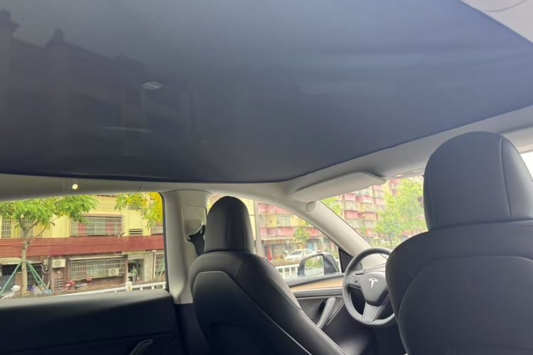 Used Tesla Model Y 2021 Standard Range Rear-Wheel Drive Version
