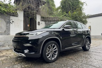 Used EXEED TX 2021 Super All-Wheel Drive Version 1.6T Four-Wheel Drive Super Power No. 2