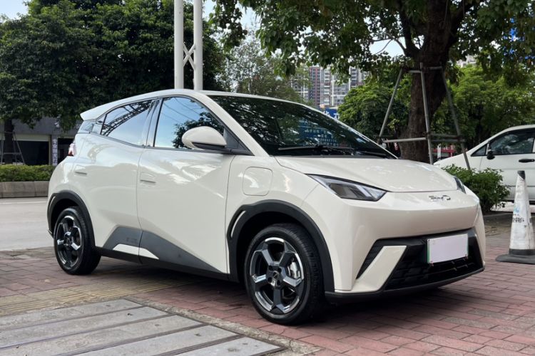 Used BYD Seagull 2024 Honor Edition 305km Freedom Version
