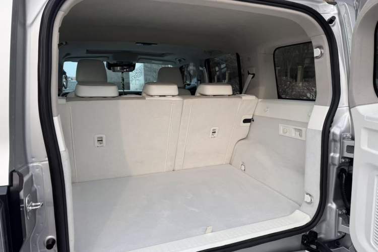 Used  Tank 300 2021 2.0T Cyber Tank