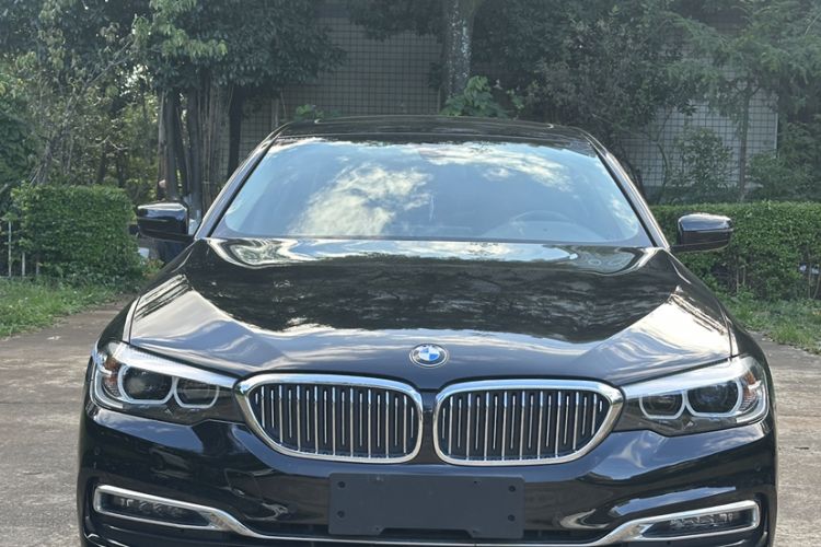 Used BMW 5 Series 2019 530Li xDrive Luxury Package
