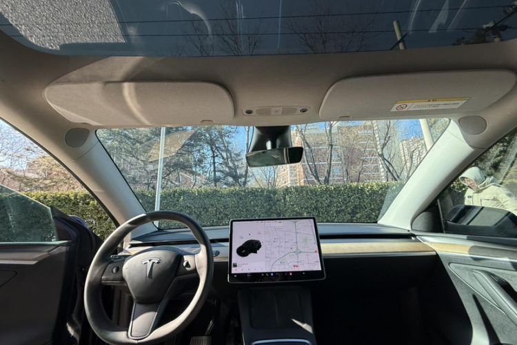 Used Tesla Model Y 2021 Standard Range Rear-Wheel Drive Version
