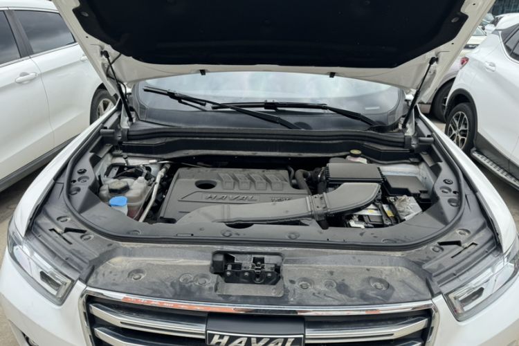 Used Haval H6 2021 1.5T Automatic Champion Edition