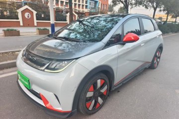 Used BYD Dolphin 2021 401km Knight Edition