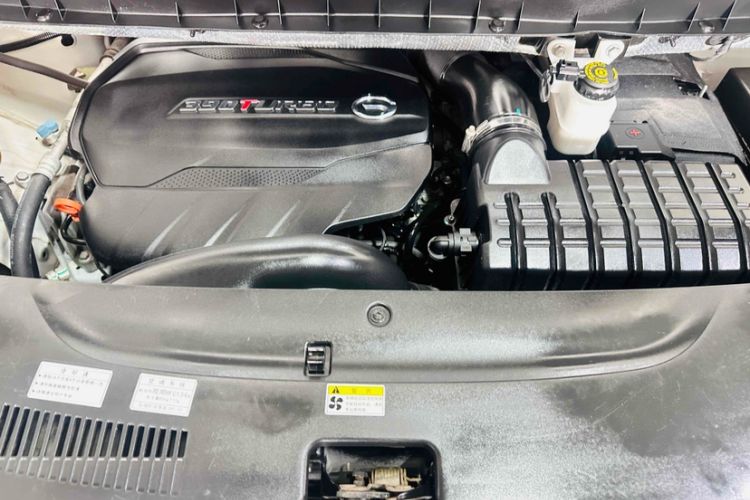 Used GAC Trumpchi M8 2020 Flagship Model 390T Deluxe Edition
