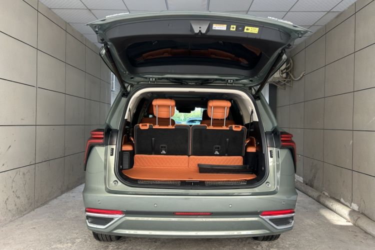 Used Wey Lanshan 2025 Four-Wheel Drive Max