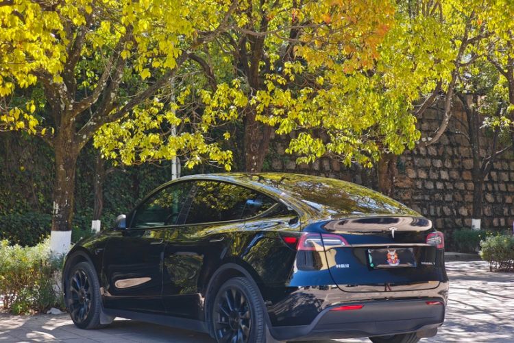 Used Tesla Model Y 2022 Rear-Wheel-Drive Version