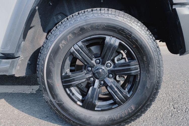 Used Tank 300 2024 2.0T Conqueror
