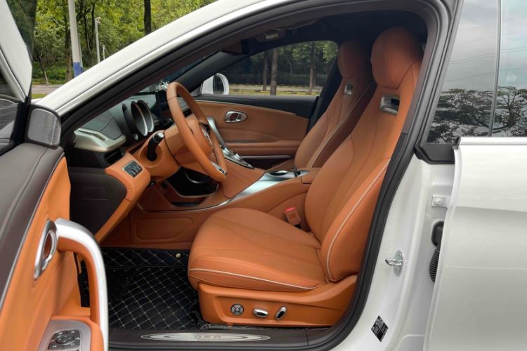 Used ORA Lightning Cat 2022 555 km Luxury Edition
