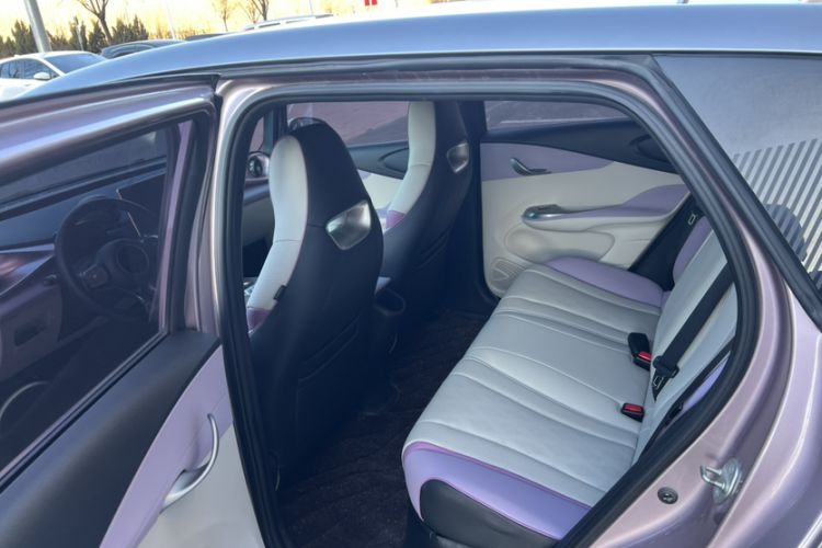 Used BYD Dolphin 2023 401km Knight Edition