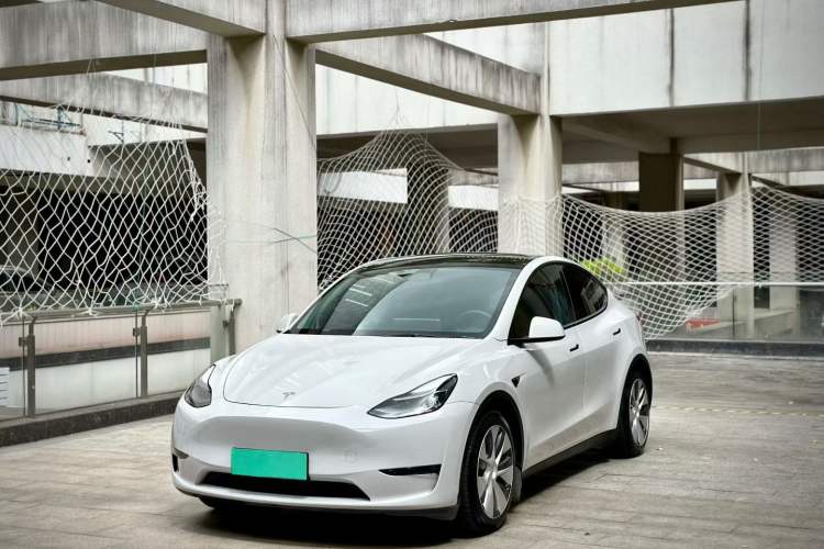 Used Tesla Model Y 2021 Standard Range Rear-Wheel Drive Version
