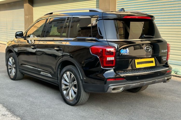 Used GAC Trumpchi GS8 2020 390T Two-Wheel Drive Luxury Smart Connectivity Commemorative Edition (7 Seats)
