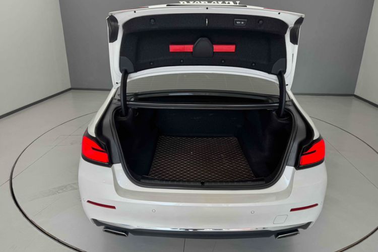 Used BMW 5 Series 2021 530Li Leading Luxury Package