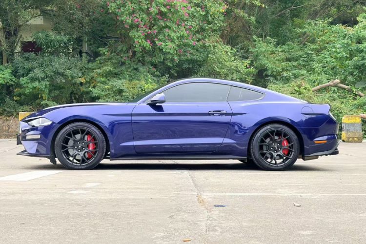 Used Ford Mustang 2019 2.3L EcoBoost