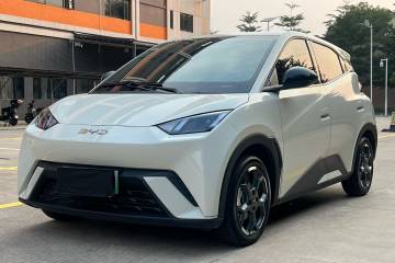 Used BYD Seagull 2025 305 km Free Version