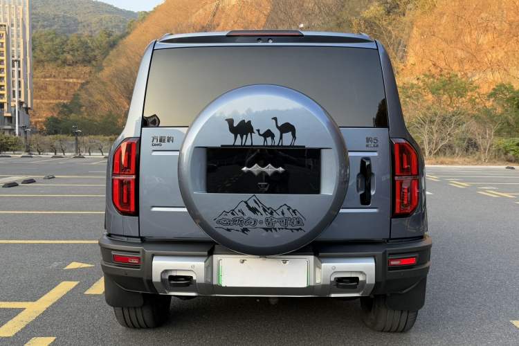 Used  Leopard 5 2023 Cloud Ride Flagship Edition