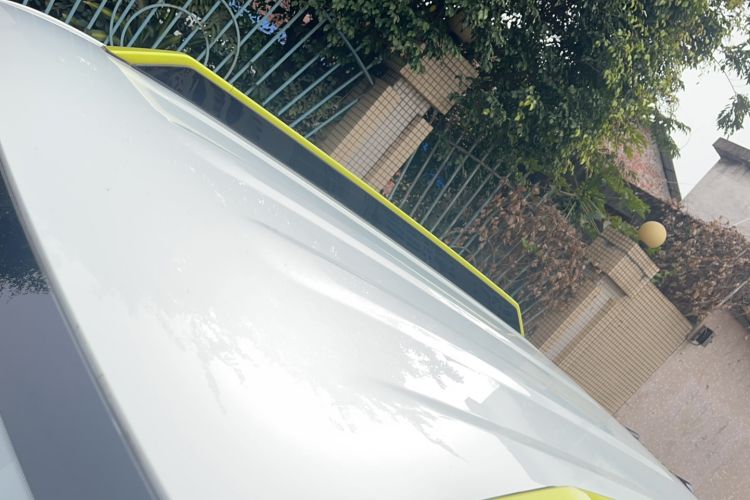 Used  Panda 2024 200km Panda Rider