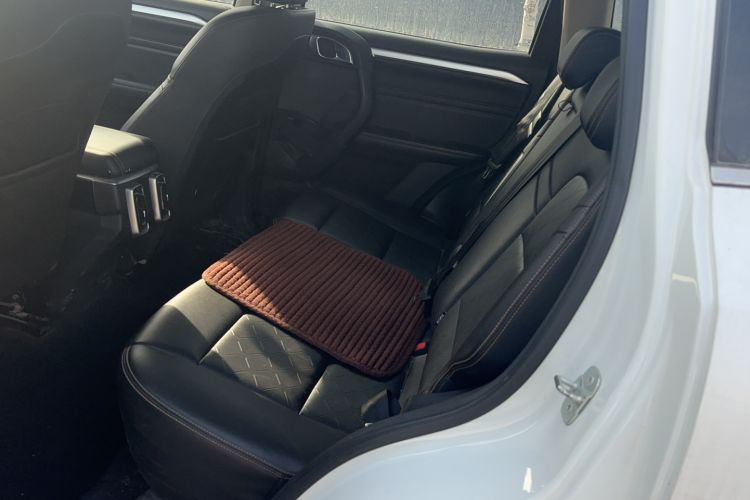 Used Haval DARGO 2021 2.0T DCT 4x4 Chinese Rural Dog Edition
