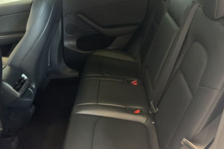 Used Tesla Model Y 2021 Standard Range Rear-Wheel Drive Version
