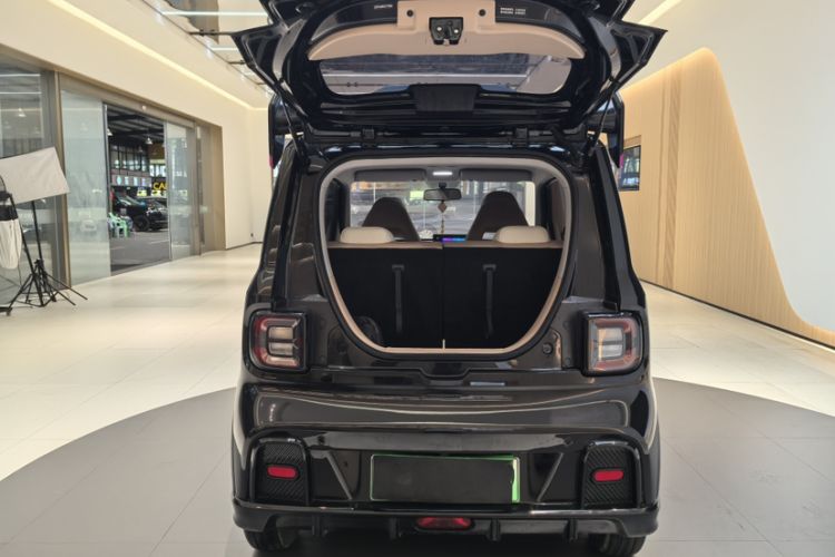 Used  Panda 2024 200km Panda Kart
