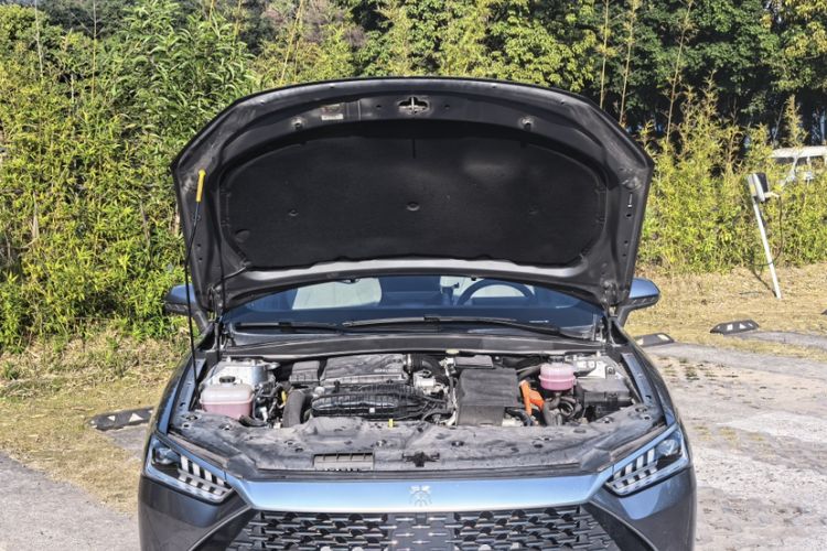 Used BYD Qin PLUS 2024 HONOR Edition DM-i 55KM Leading Model
