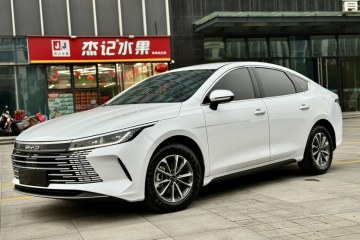 Used BYD Destroyer 05 2024 HONOR Edition DM-i 55KM Luxury Model