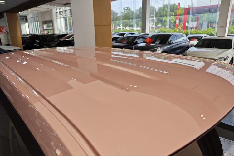 Used  Panda 2024 Panda Mini 200km Endurance Bear