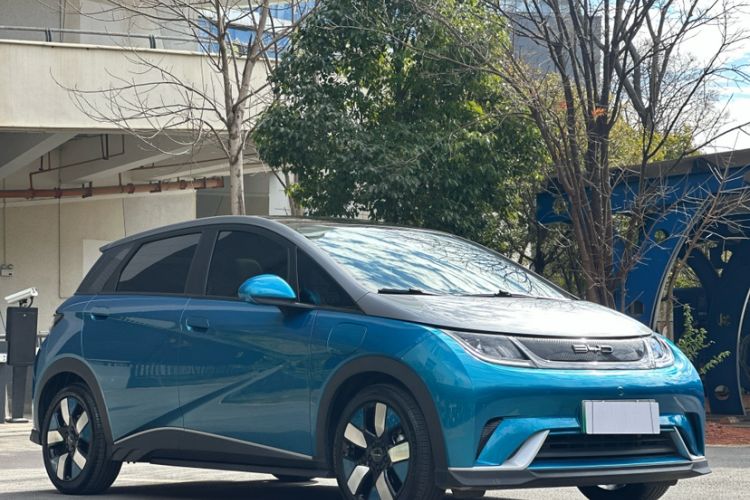 Used BYD Dolphin 2021 401km Knight Edition
