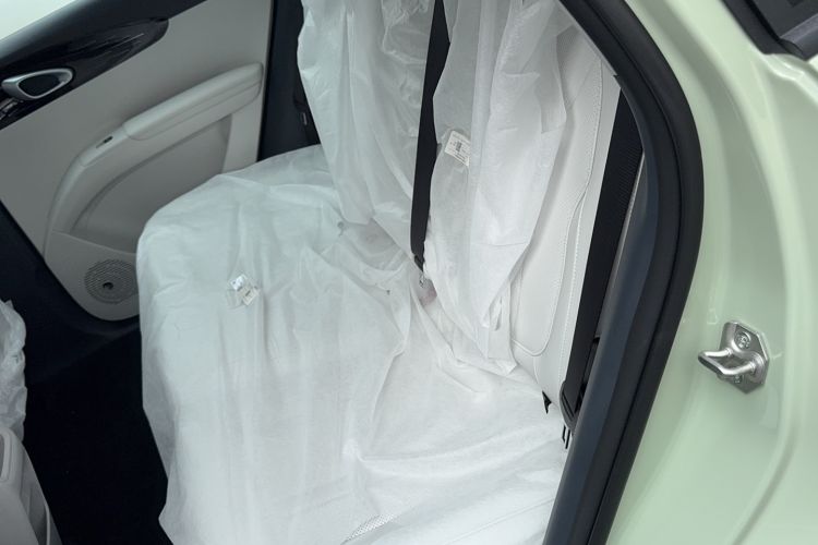 Used  Geome 2025 310km Youth Edition
