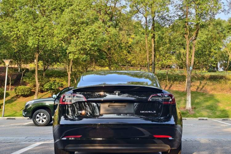 Used Tesla Model 3 2020 Revised Version Standard Range Rear-Wheel Drive – Upgraded Edition
