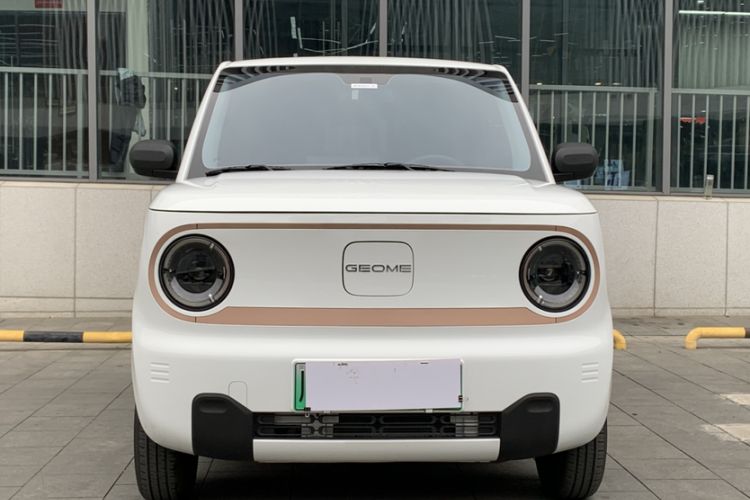 Used  Panda 2024 Panda Mini 200km Endurance Bear
