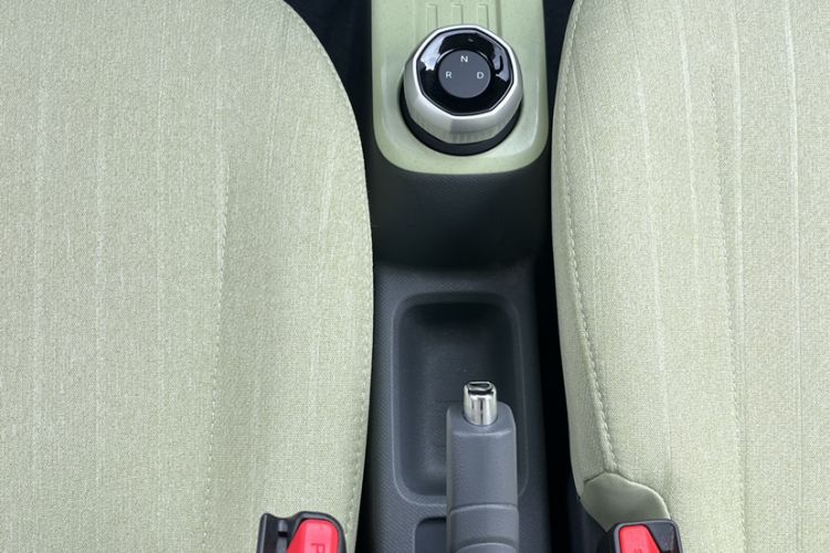 Used  Panda 2024 Panda Mini 200km Endurance Bear
