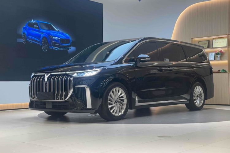 Used VOYAH Dream 2022 Low-Carbon Edition Home