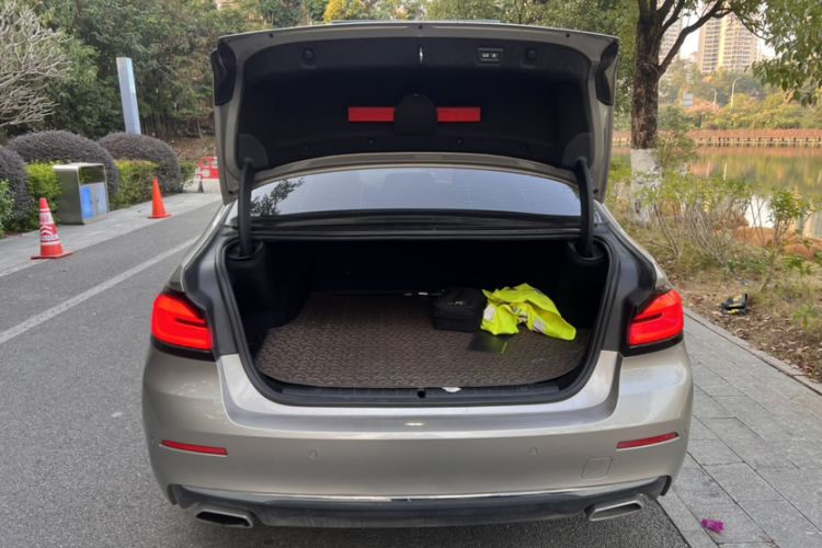 Used BMW 5 Series New Energy 2021 535Le Luxury Package
