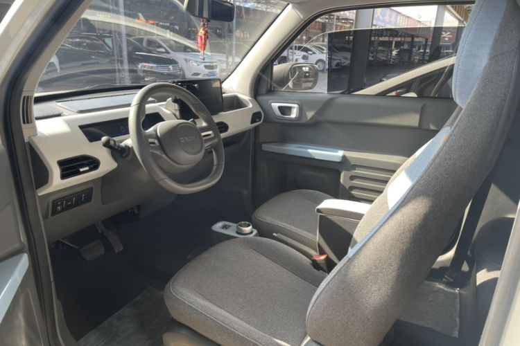 Used  Panda 2023 Panda Mini 200km Endurance Bear