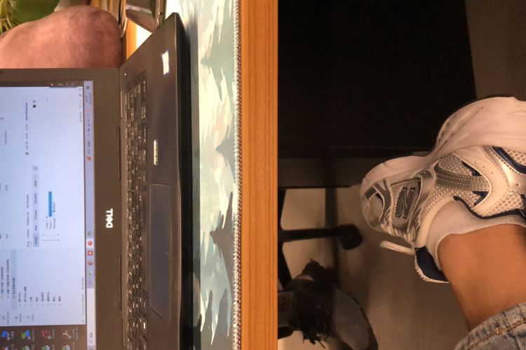 Used Buick GL8 2004 3.0L CT2 Comfort Edition
