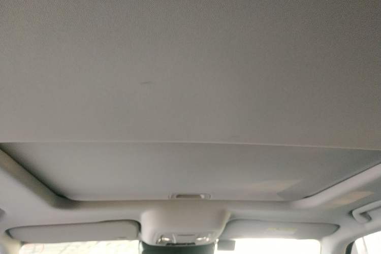 Used Tank 300 2021 Off-Road Edition 2.0T Conqueror
