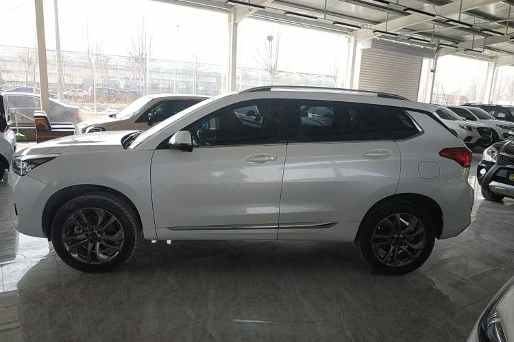 Used Haval H6 Coupe 2018 Red-Label 1.5T Automatic Two-Wheel Drive Ultra-Luxury Model
