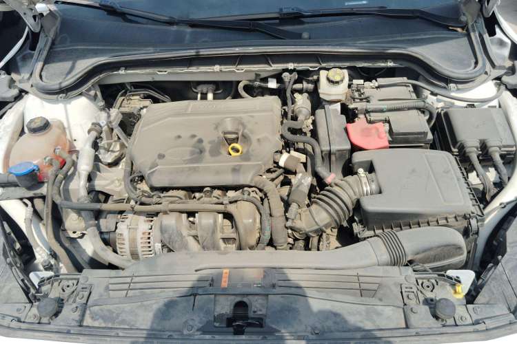 Used Ford Focus 2019 Hatchback 1.5L Automatic Sharp Edition China V Standard
